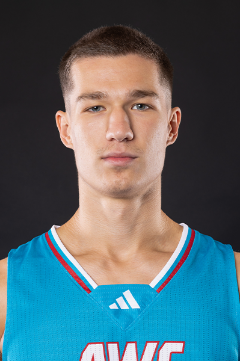 Matija Gledic